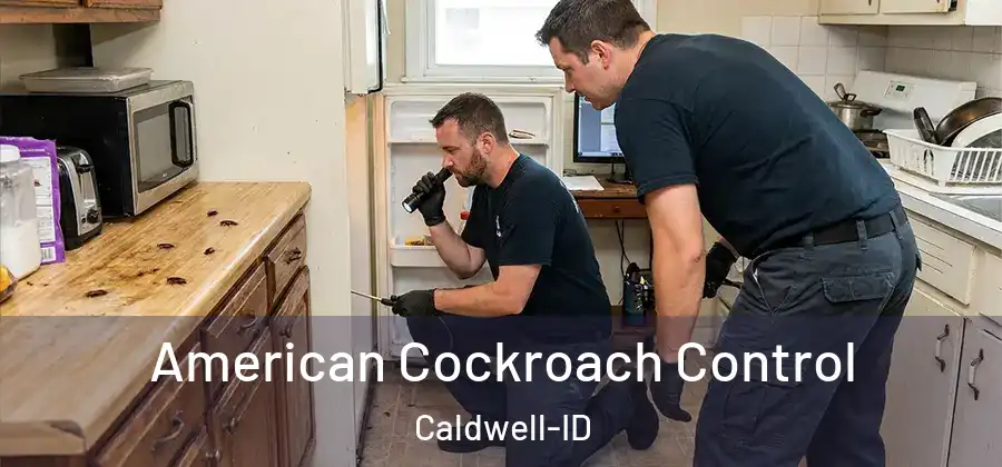 American Cockroach Control Caldwell-ID