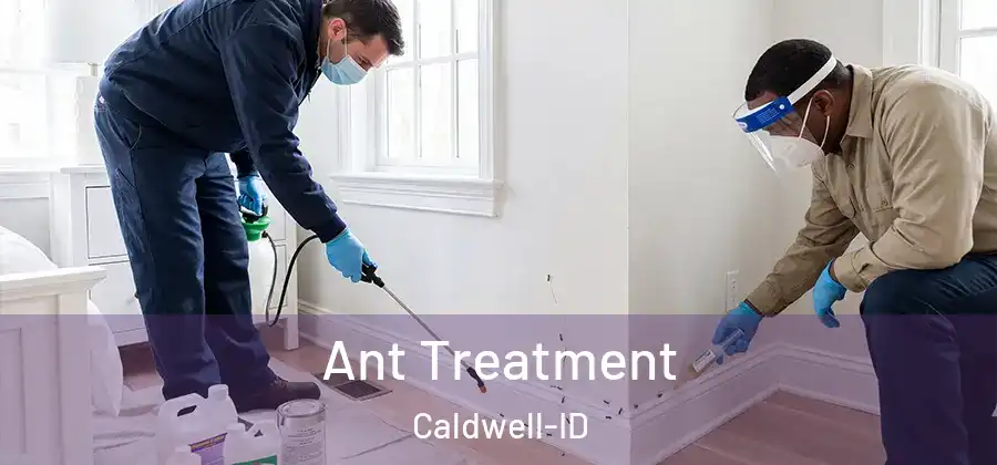 Ant Treatment Caldwell-ID