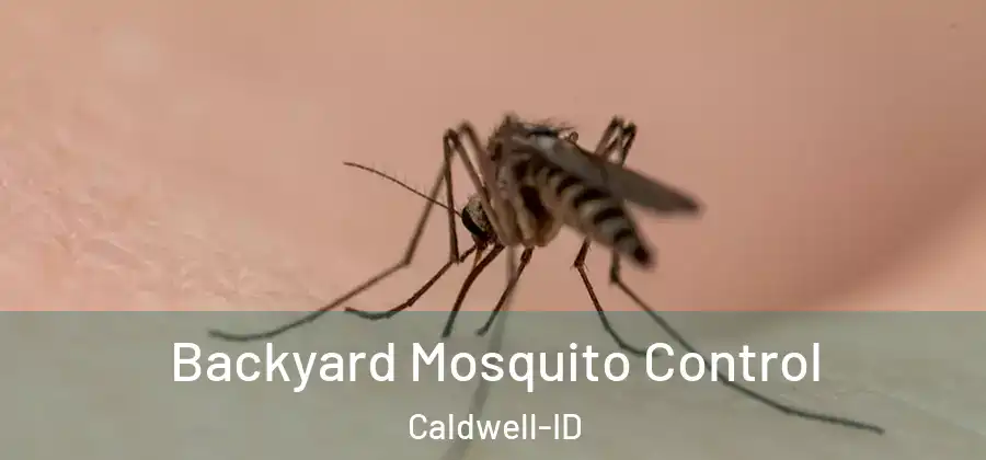Backyard Mosquito Control Caldwell-ID