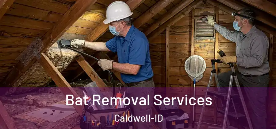 Bat Removal Services Caldwell-ID