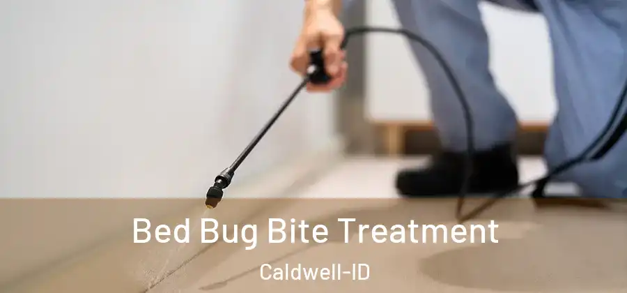 Bed Bug Bite Treatment Caldwell-ID
