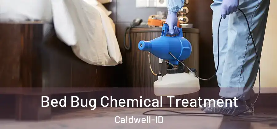 Bed Bug Chemical Treatment Caldwell-ID