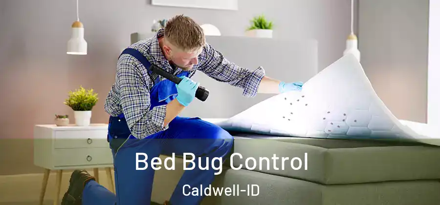 Bed Bug Control Caldwell-ID