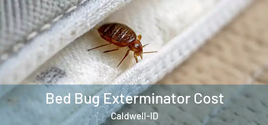 Bed Bug Exterminator Cost Caldwell-ID