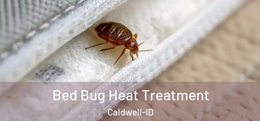 Bed Bug Heat Treatment Caldwell-ID