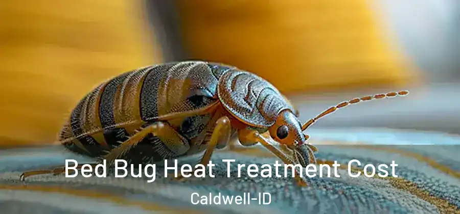 Bed Bug Heat Treatment Cost Caldwell-ID