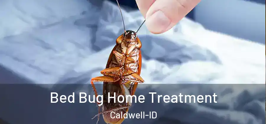 Bed Bug Home Treatment Caldwell-ID