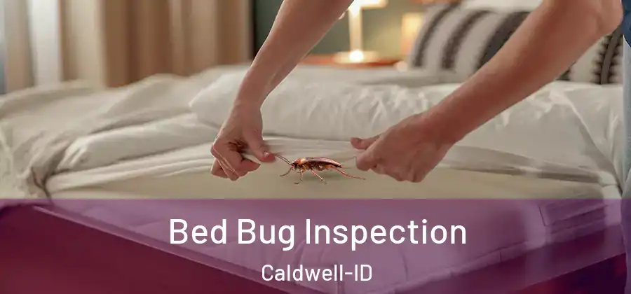 Bed Bug Inspection Caldwell-ID