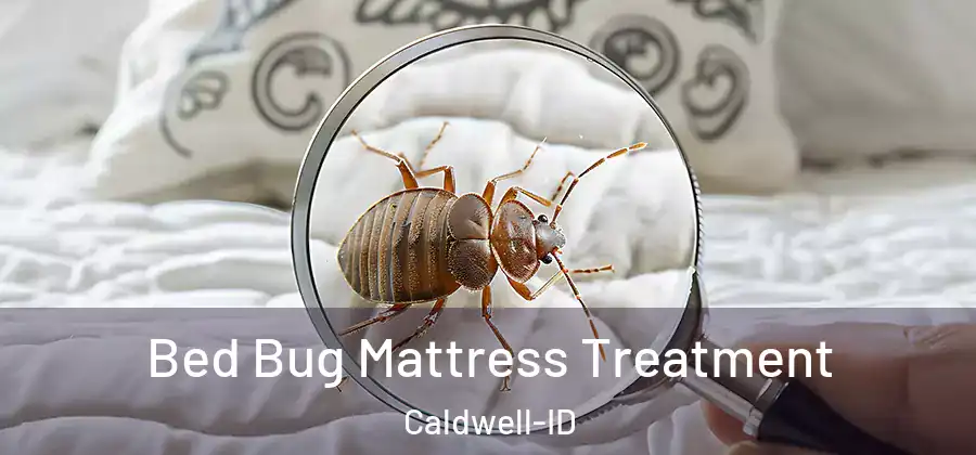 Bed Bug Mattress Treatment Caldwell-ID