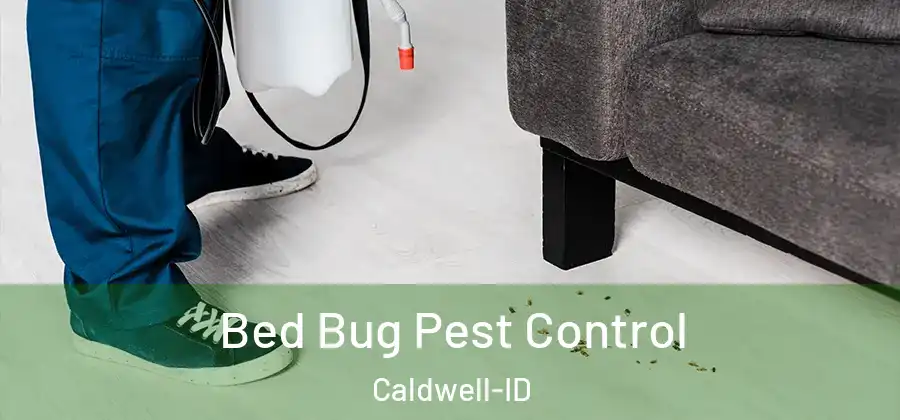Bed Bug Pest Control Caldwell-ID