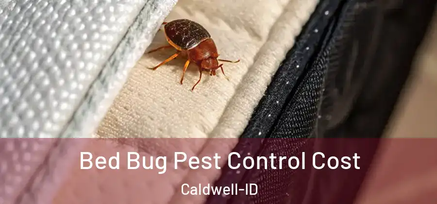 Bed Bug Pest Control Cost Caldwell-ID