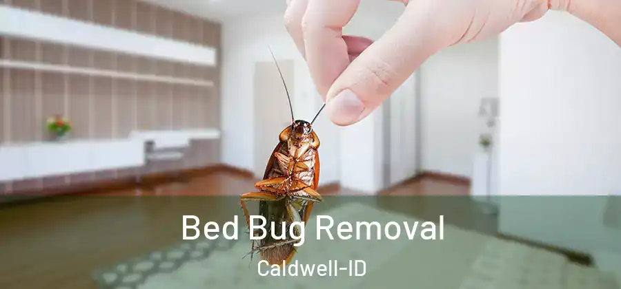 Bed Bug Removal Caldwell-ID