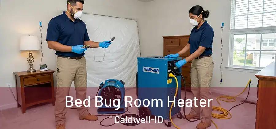 Bed Bug Room Heater Caldwell-ID