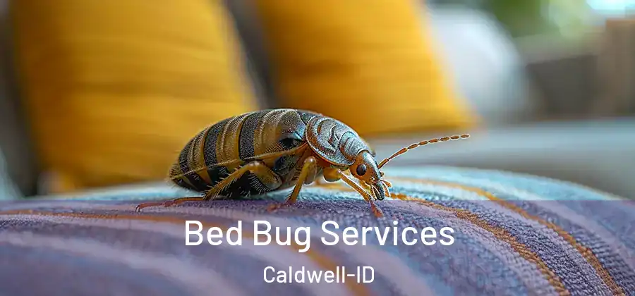 Bed Bug Services Caldwell-ID