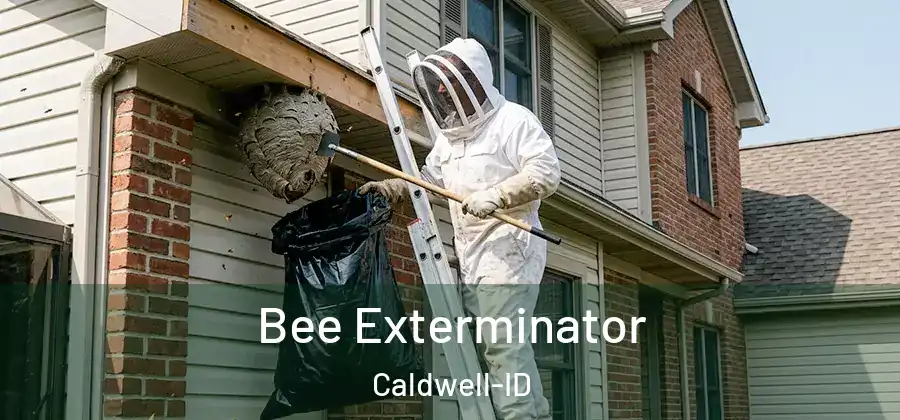 Bee Exterminator Caldwell-ID