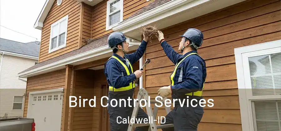Bird Control Services Caldwell-ID