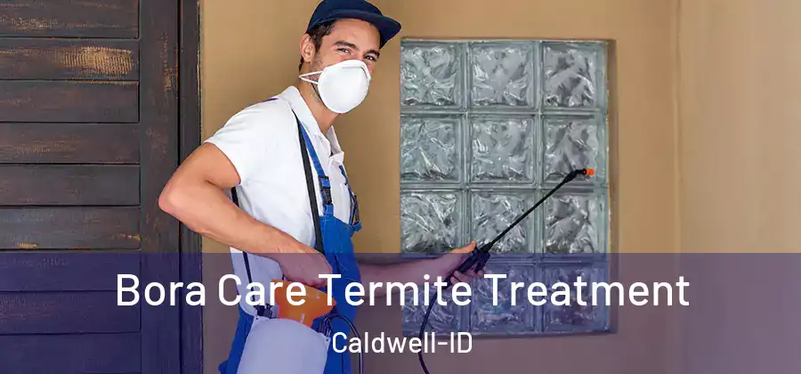 Bora Care Termite Treatment Caldwell-ID
