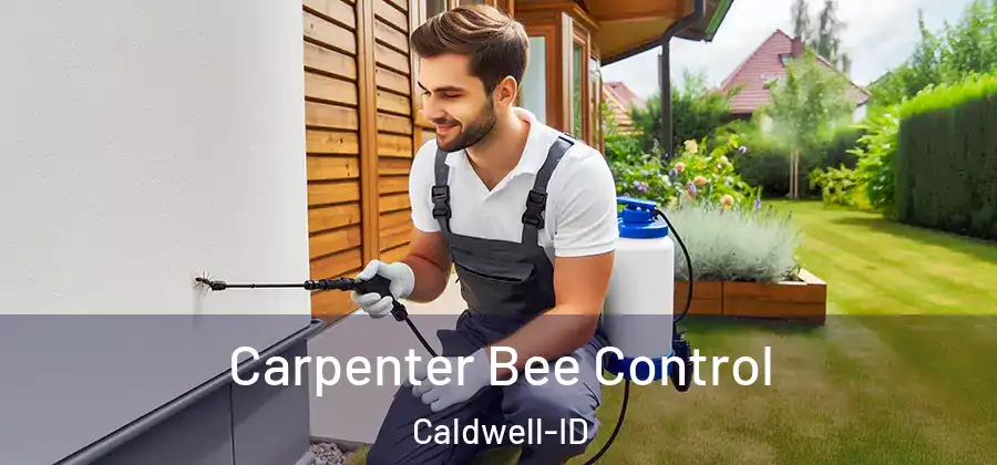 Carpenter Bee Control Caldwell-ID