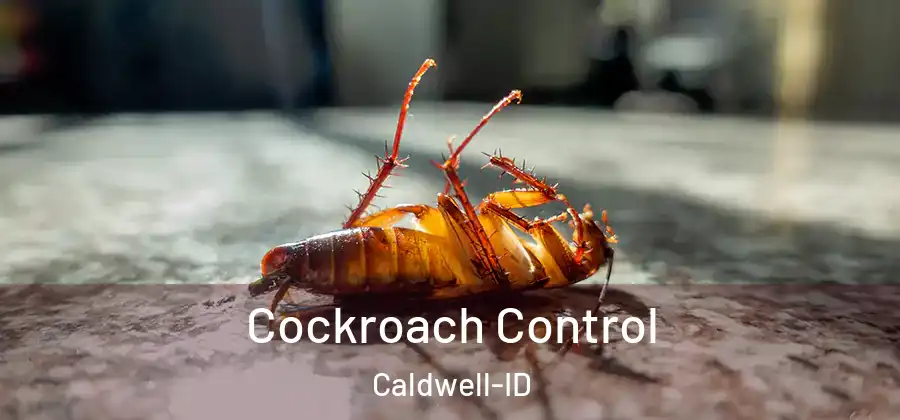 Cockroach Control Caldwell-ID