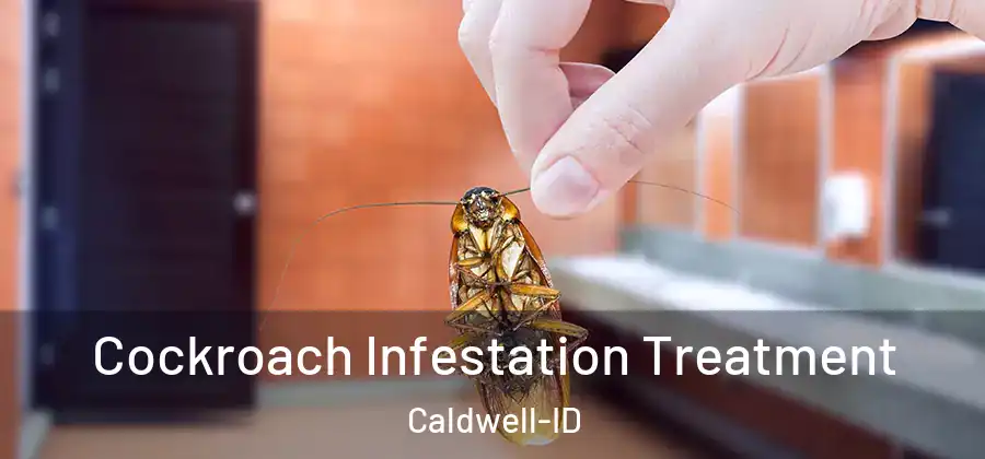 Cockroach Infestation Treatment Caldwell-ID