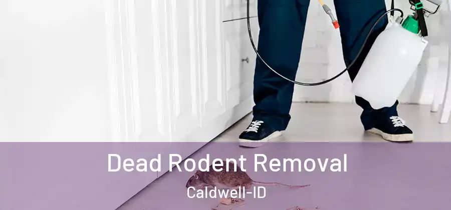  Dead Rodent Removal Caldwell-ID