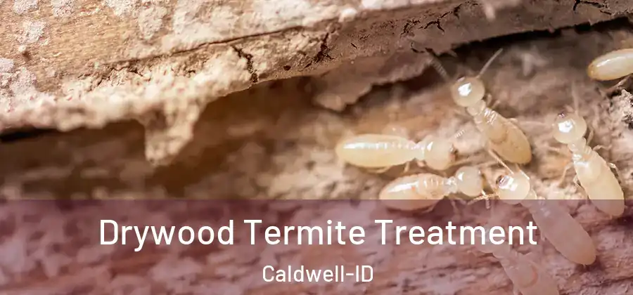 Drywood Termite Treatment Caldwell-ID