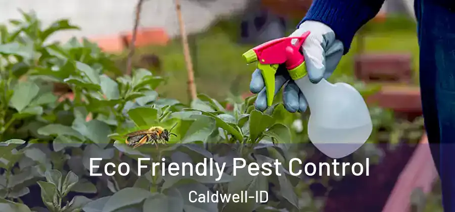Eco Friendly Pest Control Caldwell-ID