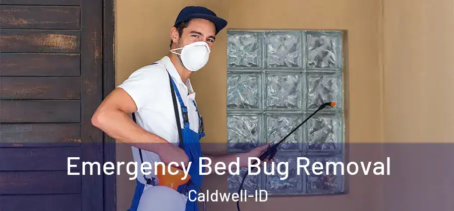 Emergency Bed Bug Removal Caldwell-ID