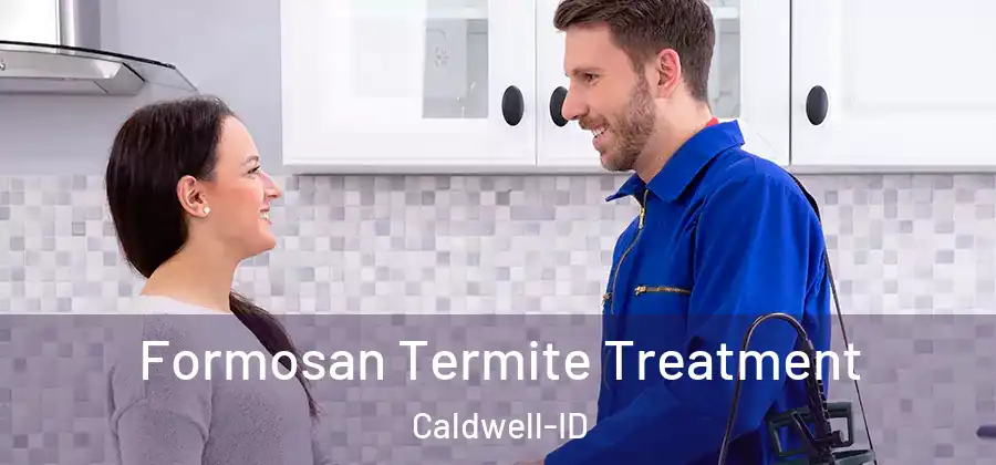 Formosan Termite Treatment Caldwell-ID