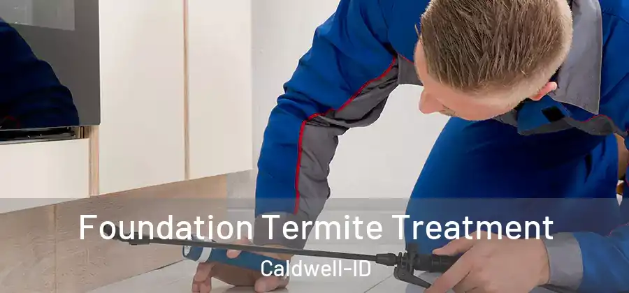 Foundation Termite Treatment Caldwell-ID