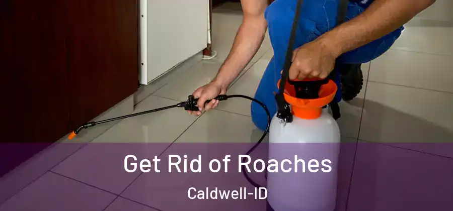 Get Rid of Roaches Caldwell-ID