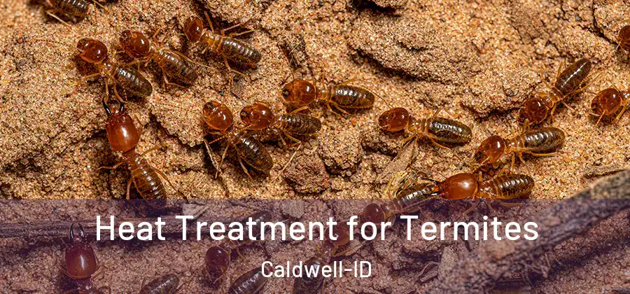 Heat Treatment for Termites Caldwell-ID
