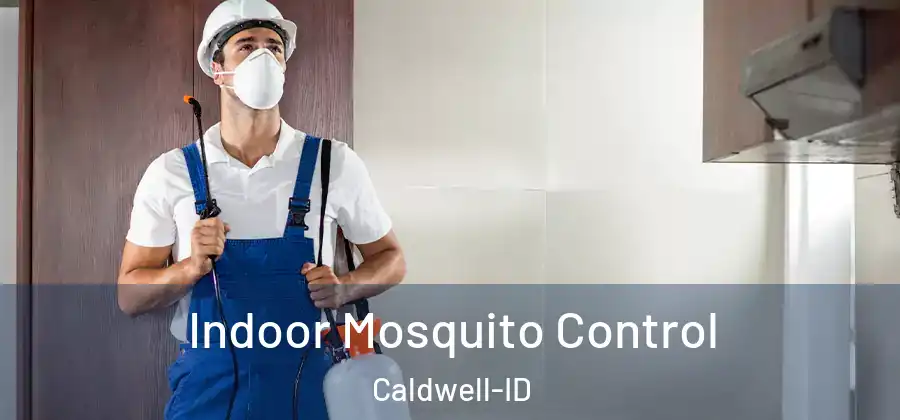  Indoor Mosquito Control Caldwell-ID