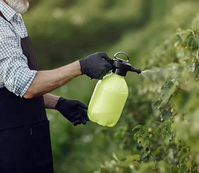 Your Proven Mosquito Treatment Company in Caldwell, ID
