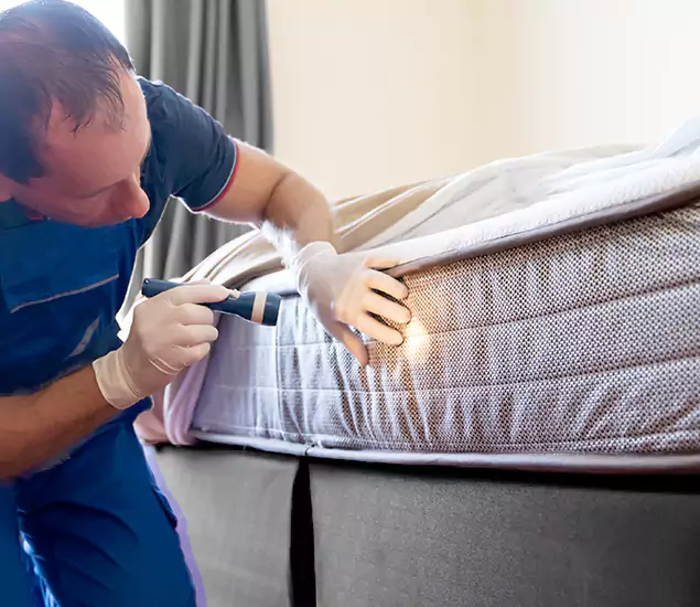 Trusted Bed Bug Cost Experts in Caldwell, ID