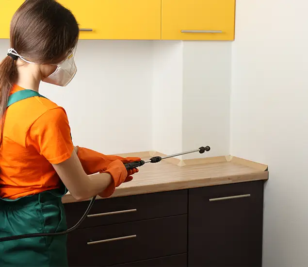 Trusted Bed Bug Pest Control Specialist in Caldwell, ID