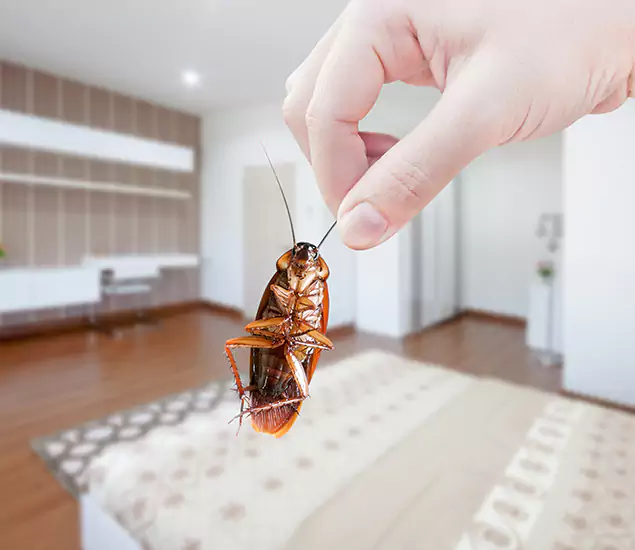 Your Cockroach Control Services in Caldwell, ID