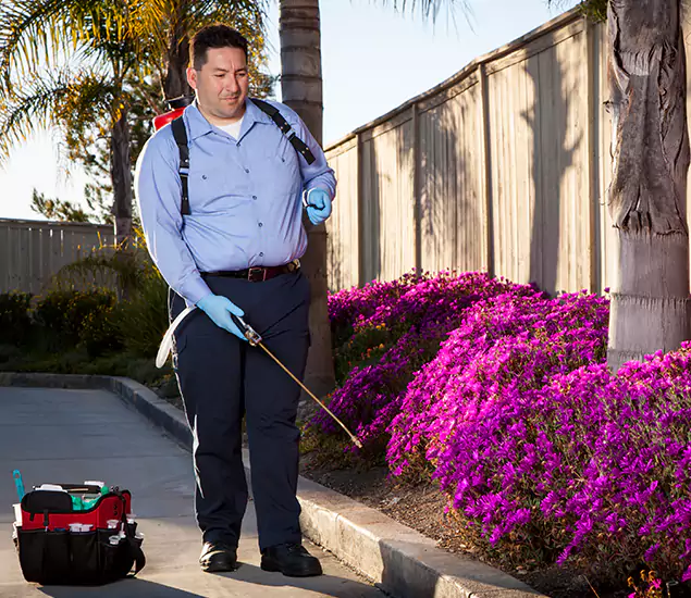 About Our Eco Safe Pest Control Experts in Caldwell, ID