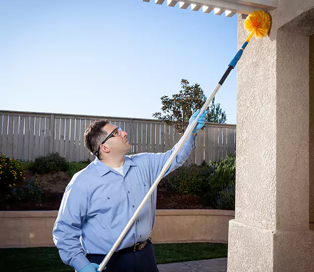 Trusted Experts in Caldwell ID for Formosan Termite Treatment and Black Termite Control