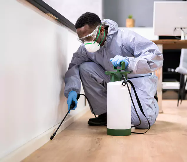 Leading Industrial Pest Control Experts Serving Caldwell, ID