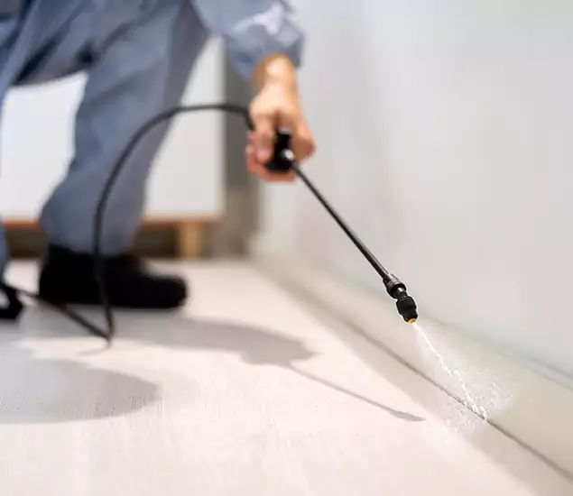 About Our Liquid Termite Treatment Experts in Caldwell, ID