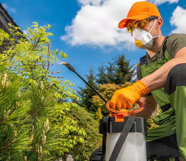 Your Mosquito Repellent Barrier Service in Caldwell, ID