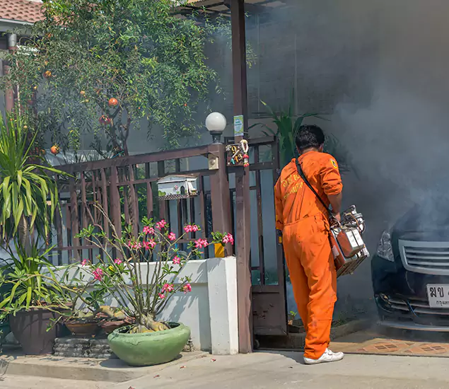 Your Proven Mosquito Fogging Company in Caldwell, ID
