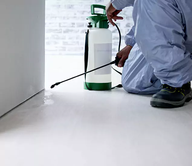 Affordable Pest Control Experts in Caldwell, ID