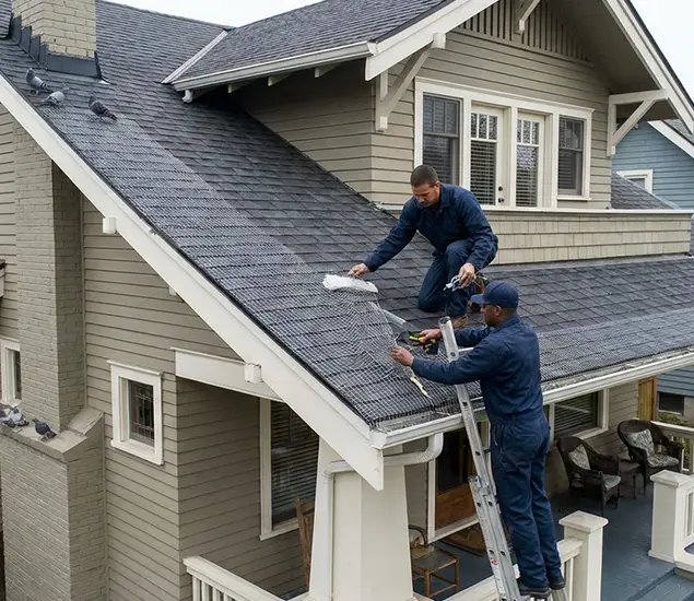 Your Pigeon Control Experts in Caldwell, ID