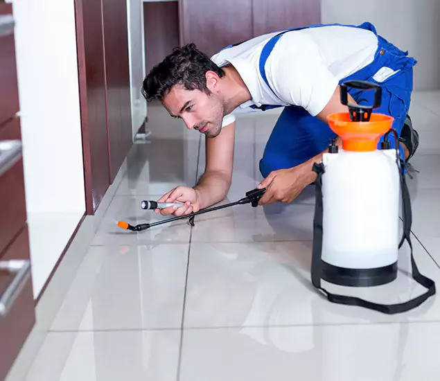Trusted Rat Control Services Specialists in Caldwell, ID
