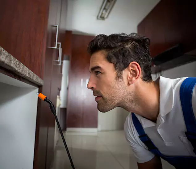Expert Rodent in Attic Removal: Your Proven Pest Specialists in Caldwell, ID