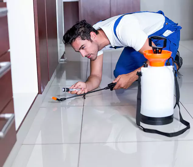 Advanced Slab Termite Treatment Experts You Can Trust&nbsp;in Caldwell, ID