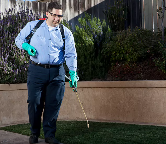 Reliable Termite Barrier Treatment Experts in Caldwell, ID