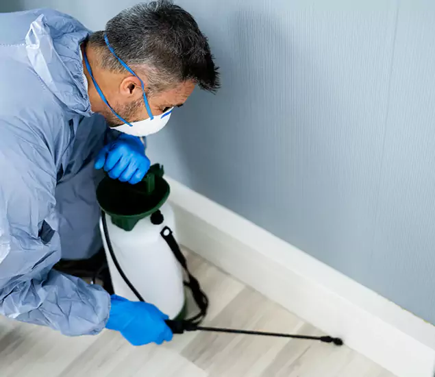 Reliable Termite Cost Experts in Caldwell, ID